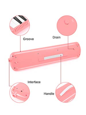 32 keys Melodica1.jpg