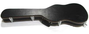 Casos de guitarra elétrica